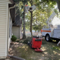 Transform Your Property: The Tree Service Advantage In Shively Real Estate Marketing