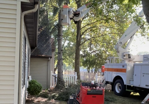 Transform Your Property: The Tree Service Advantage In Shively Real Estate Marketing